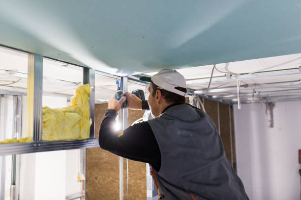 Best Geographic-Specific Insulation Services in Morton, IL