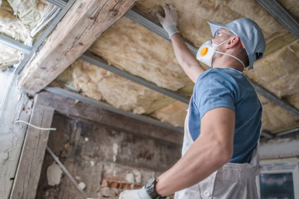 Best DIY Insulation Kits and Guidance in Morton, IL