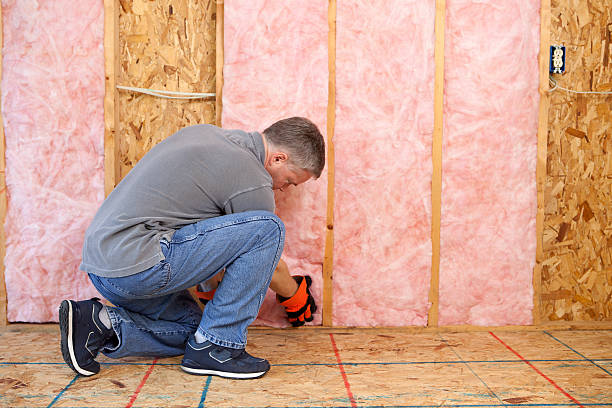 Best Commercial Insulation in Morton, IL