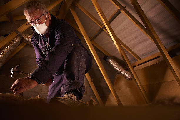 Best Cellulose Insulation in Morton, IL